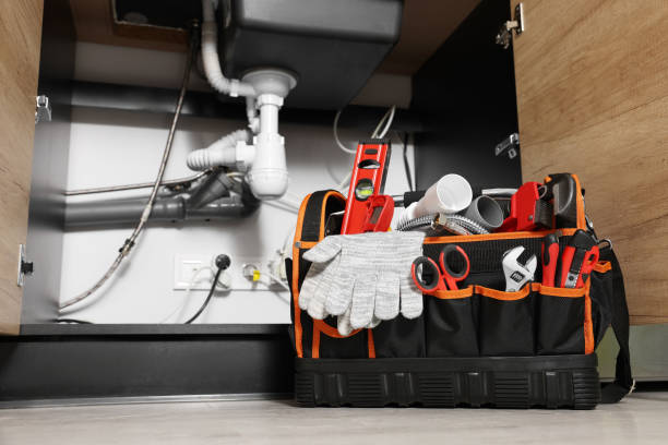 Best Clogged Drain Plumber  in Geneva, FL